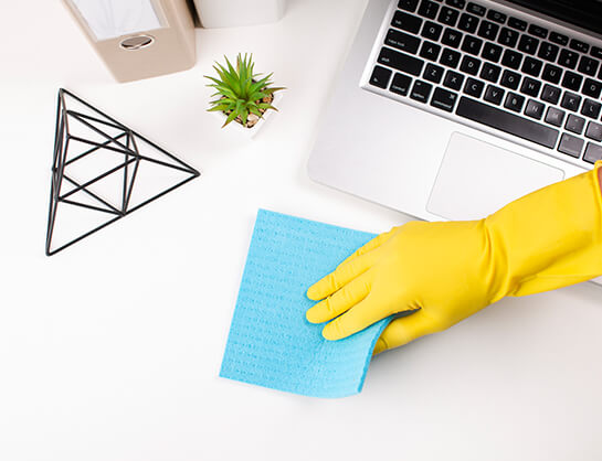 Pest control services Mumbai - safe and effective pest management solutions